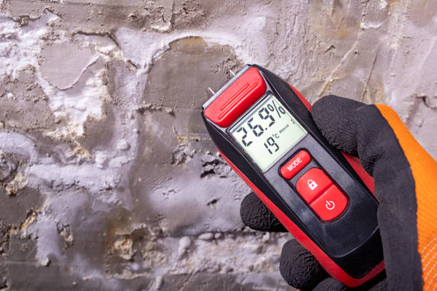 Best Mold Testing  in Mcadenville, NC