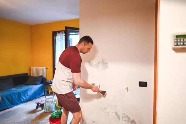 Best Home Mold Removal  in Mcadenville, NC